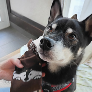 健（たける）ちゃん