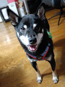 健（たける）ちゃん