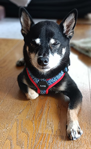 健（たける）ちゃん