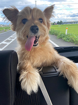 ポッキーちゃん