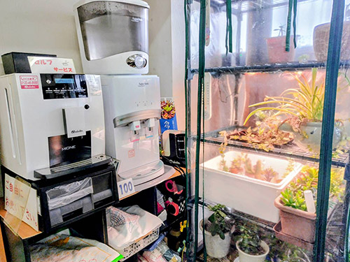 コーヒー飲み放題