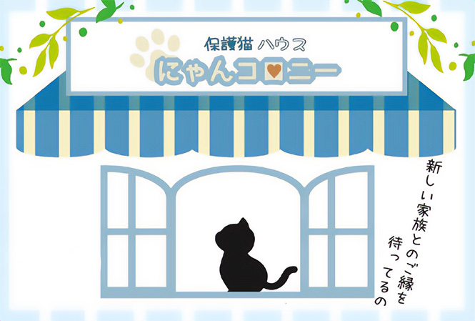 保護猫ハウスにゃんコロニー　新しい家族とのご縁を待ってるの