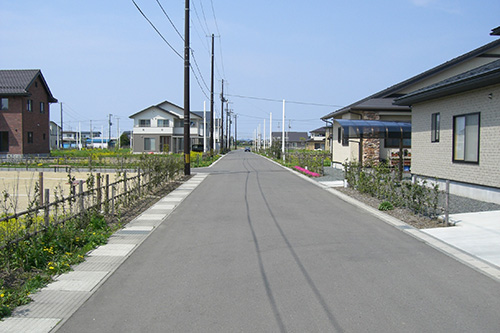 マイアネタウン