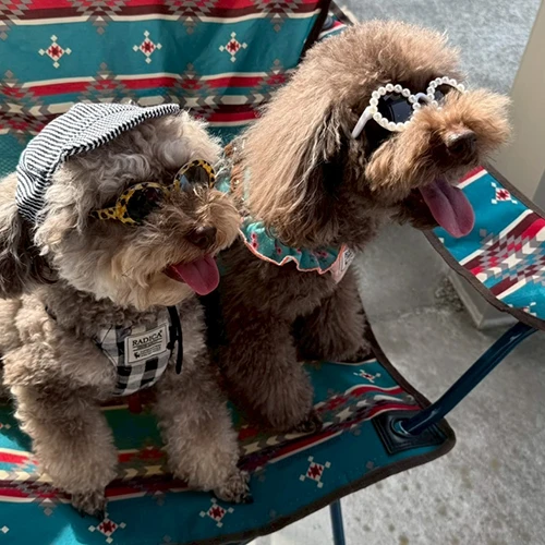 びるちゃん・じゃむちゃん