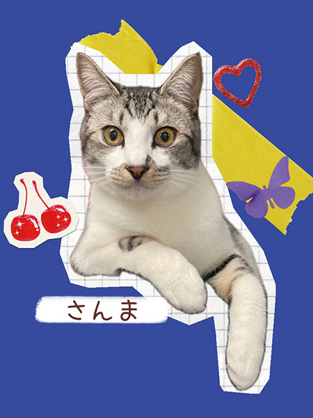 さんま