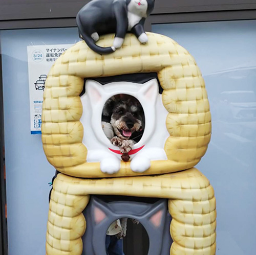 とんと
