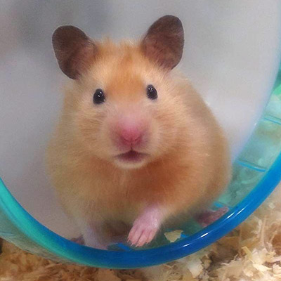 早苗ちゃん
