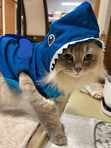 ハクちゃん