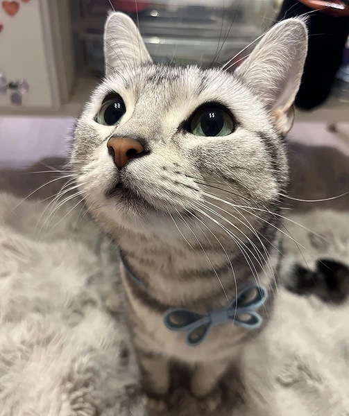 あじちゃん